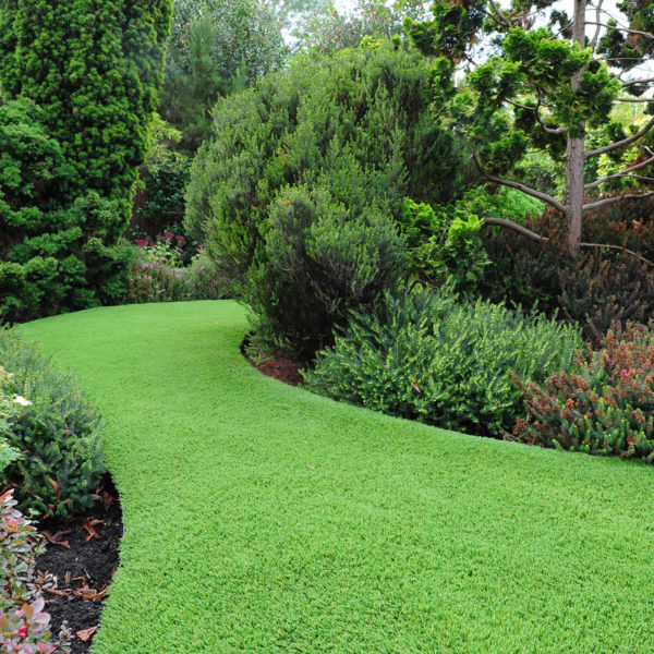 LazyLawn Edging Feature in Shaped garden