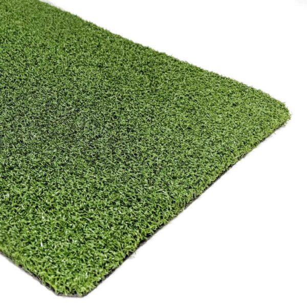 Putting Green Pro 13mm Artificial Grass Sample